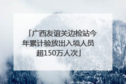 广西友谊关边检站今年累计验放出入境人员超150万人次