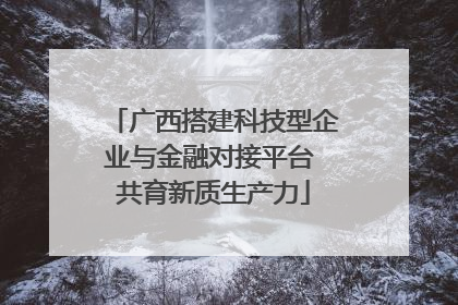 广西搭建科技型企业与金融对接平台 共育新质生产力