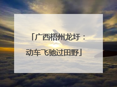 广西梧州龙圩：动车飞驰过田野