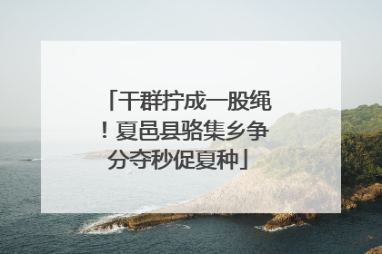 干群拧成一股绳！夏邑县骆集乡争分夺秒促夏种