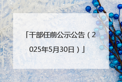干部任前公示公告（2025年5月30日）