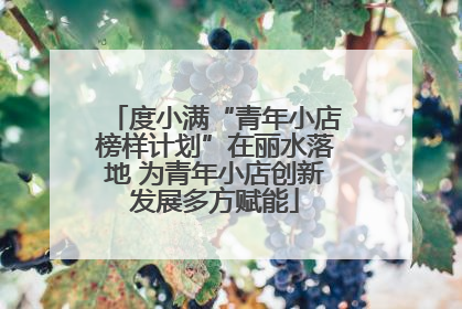 度小满“青年小店榜样计划”在丽水落地 为青年小店创新发展多方赋能
