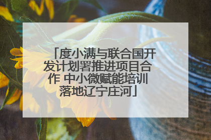 度小满与联合国开发计划署推进项目合作 中小微赋能培训落地辽宁庄河