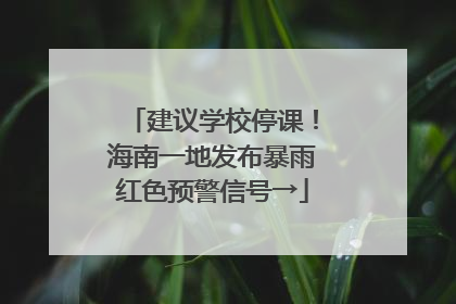 建议学校停课！海南一地发布暴雨红色预警信号→