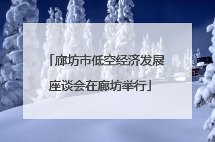 廊坊市低空经济发展座谈会在廊坊举行