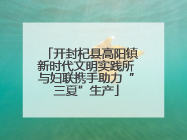 开封杞县高阳镇新时代文明实践所与妇联携手助力“三夏”生产