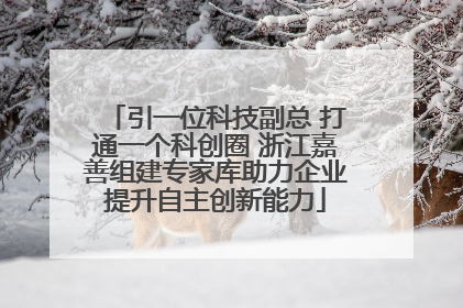 引一位科技副总 打通一个科创圈 浙江嘉善组建专家库助力企业提升自主创新能力