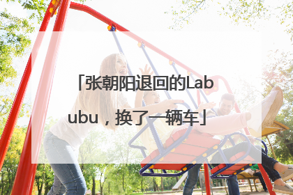张朝阳退回的Labubu，换了一辆车