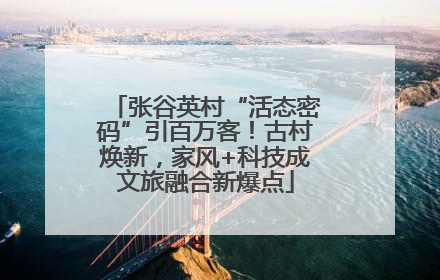 张谷英村“活态密码”引百万客！古村焕新，家风+科技成文旅融合新爆点