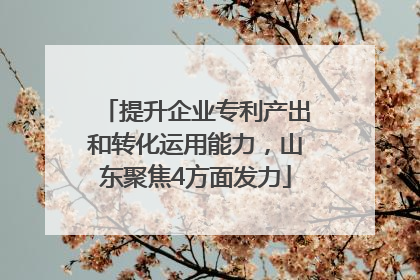 提升企业专利产出和转化运用能力，山东聚焦4方面发力