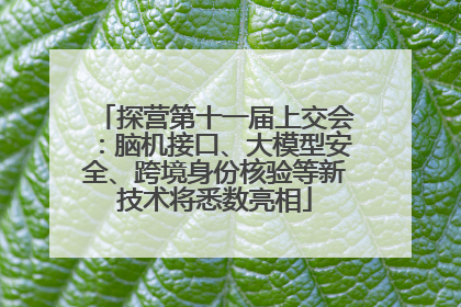 探营第十一届上交会：脑机接口、大模型安全、跨境身份核验等新技术将悉数亮相