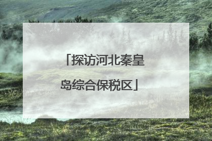 探访河北秦皇岛综合保税区
