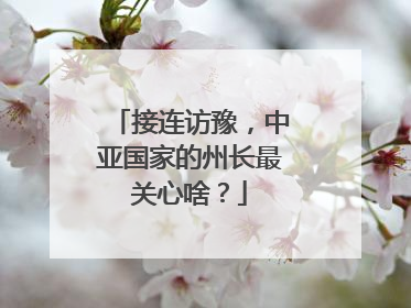 接连访豫，中亚国家的州长最关心啥？