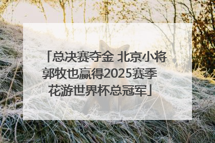 总决赛夺金 北京小将郭牧也赢得2025赛季花游世界杯总冠军