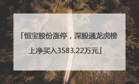 恒宝股份涨停，深股通龙虎榜上净买入3583.22万元