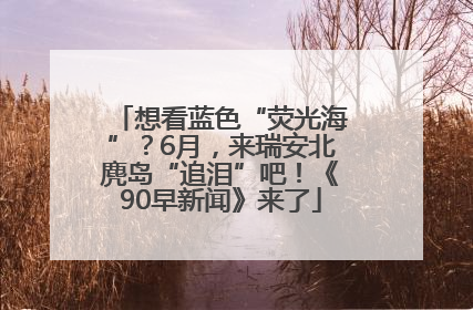 想看蓝色“荧光海”？6月，来瑞安北麂岛“追泪”吧！《90早新闻》来了