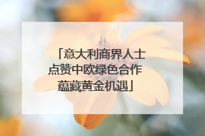 意大利商界人士点赞中欧绿色合作蕴藏黄金机遇