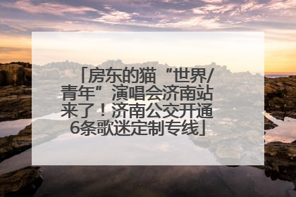 房东的猫“世界/青年”演唱会济南站来了！济南公交开通6条歌迷定制专线
