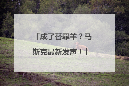 成了替罪羊？马斯克最新发声！