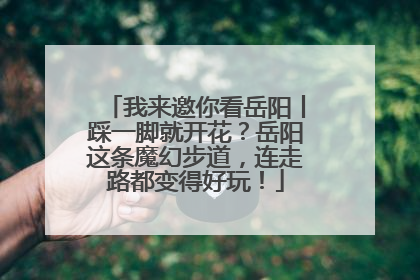 我来邀你看岳阳丨踩一脚就开花？岳阳这条魔幻步道，连走路都变得好玩！