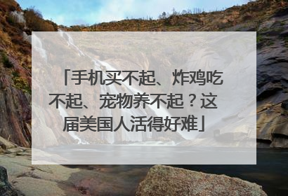 手机买不起、炸鸡吃不起、宠物养不起？这届美国人活得好难