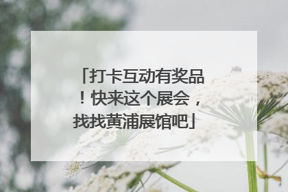 打卡互动有奖品！快来这个展会，找找黄浦展馆吧