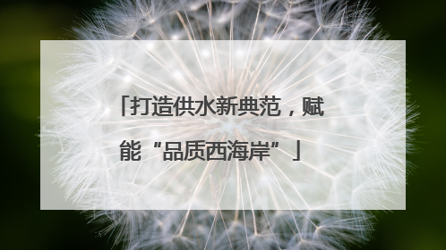 打造供水新典范，赋能“品质西海岸”