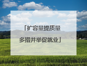 扩容量提质量 多措并举促就业