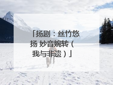 扬剧：丝竹悠扬 妙音婉转（我与非遗）