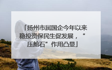 扬州市属国企今年以来稳投资保民生促发展，“压舱石”作用凸显