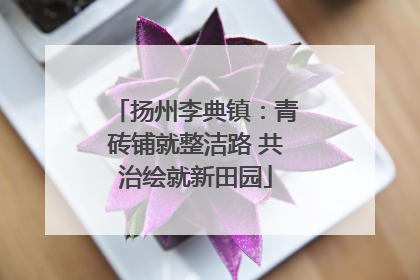 扬州李典镇：青砖铺就整洁路 共治绘就新田园