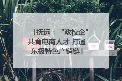 抚远：“政校企”共育电商人才 打通东极特色产销链