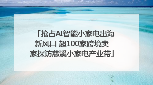 抢占AI智能小家电出海新风口 超100家跨境卖家探访慈溪小家电产业带