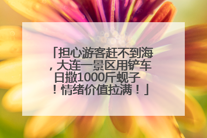 担心游客赶不到海，大连一景区用铲车日撒1000斤蚬子！情绪价值拉满！