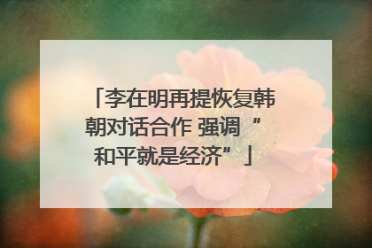 李在明再提恢复韩朝对话合作 强调“和平就是经济”