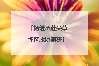 杨继承赴尖草坪区政协调研