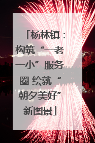 杨林镇：构筑“一老一小”服务圈 绘就“朝夕美好”新图景