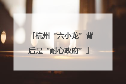 杭州“六小龙”背后是“耐心政府”