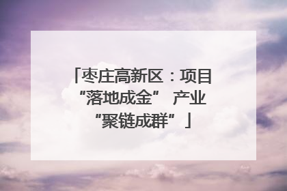 枣庄高新区：项目“落地成金” 产业“聚链成群”