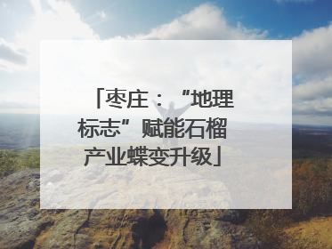 枣庄：“地理标志”赋能石榴产业蝶变升级