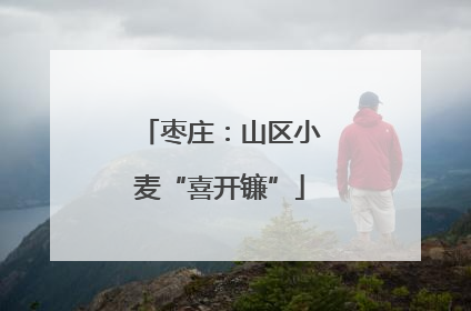 枣庄：山区小麦“喜开镰”
