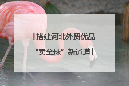 搭建河北外贸优品“卖全球”新通道