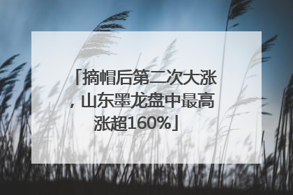 摘帽后第二次大涨，山东墨龙盘中最高涨超160%