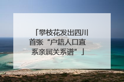 攀枝花发出四川首张“户籍人口直系亲属关系谱”