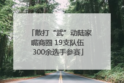 散打“武”动陆家嘴商圈 19支队伍300余选手参赛