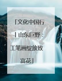 文化中国行丨山东巨野：工笔画绽放致富花
