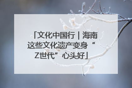 文化中国行｜海南这些文化遗产变身“Z世代”心头好