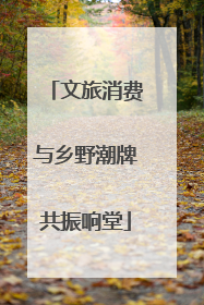 文旅消费与乡野潮牌共振响堂
