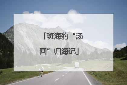 斑海豹“汤圆”归海记