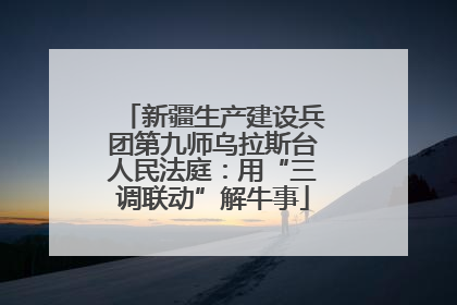 新疆生产建设兵团第九师乌拉斯台人民法庭：用“三调联动”解牛事